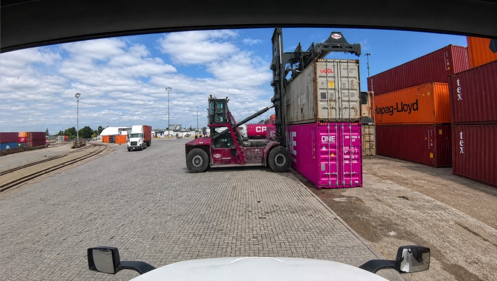 cp-yard-cleaned-view-1.jpg
